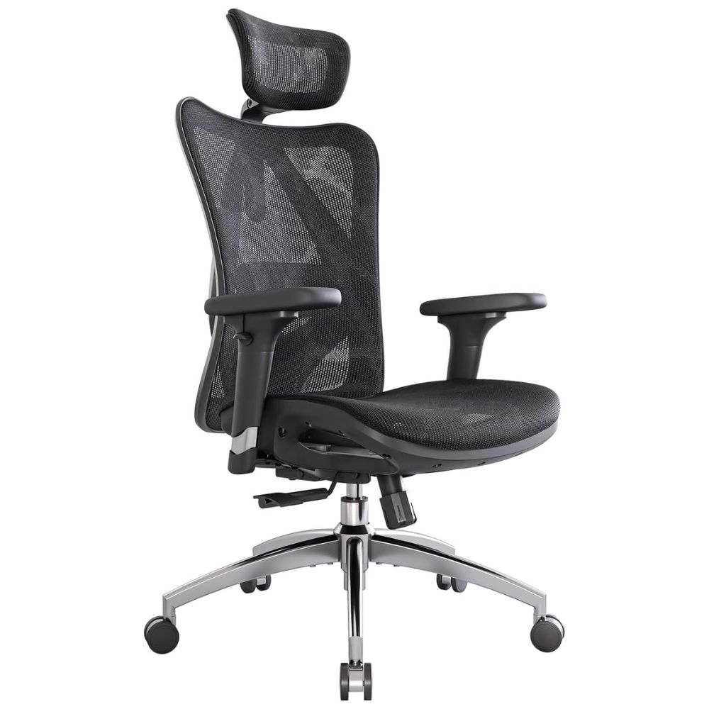 SIHOO M57 Ergonomic Office Chair - Best for Long Work Hours (Value Pick)
