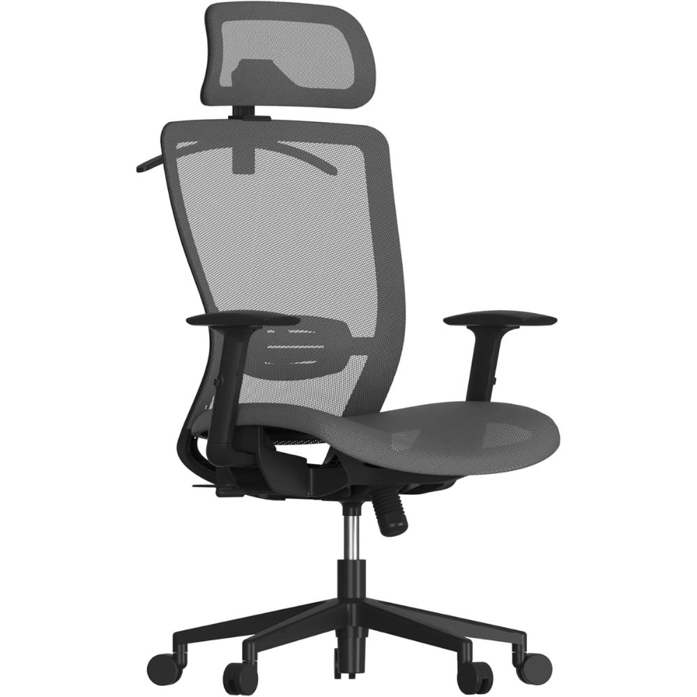 FlexiSpot Ergonomic Office Chair - Best for Long Hours of Sitting
