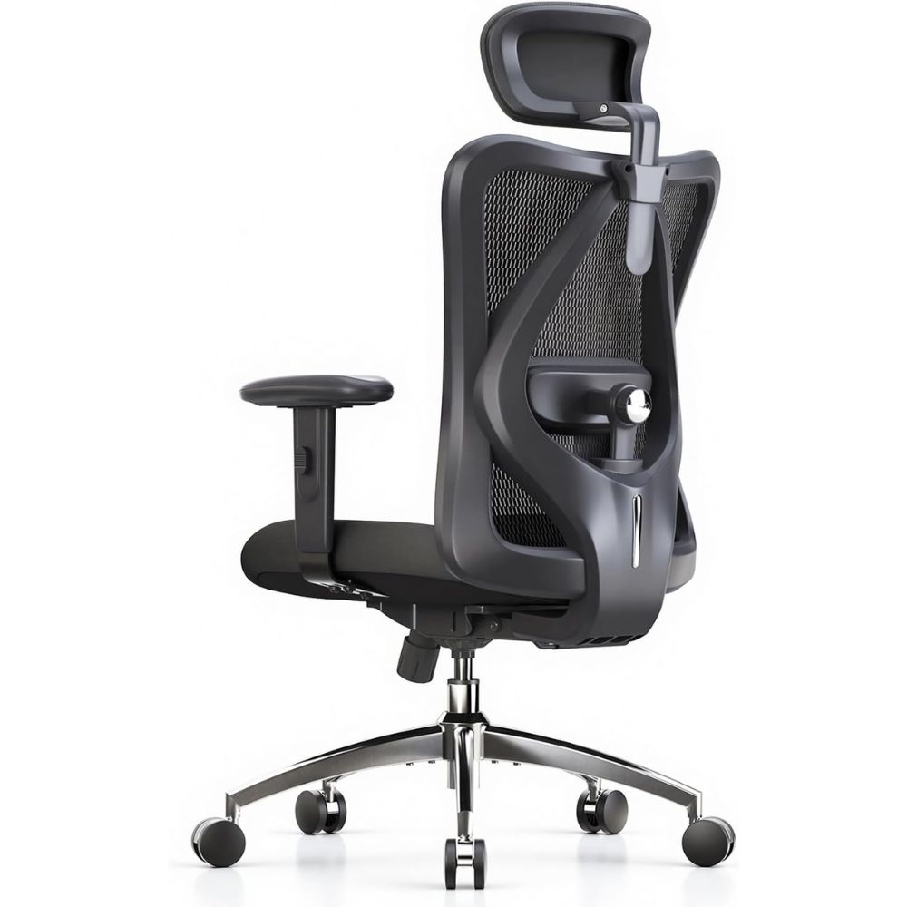 SIHOO M18 Ergonomic Office Chair with Headrest – Best Overall